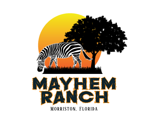 Organizers | mayhem ranch final sun logos 2 | mayhem ranch