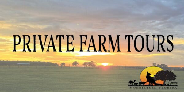 June 10th 6:00pm sunset tour - adult ticket | pricate farm | mayhem ranch